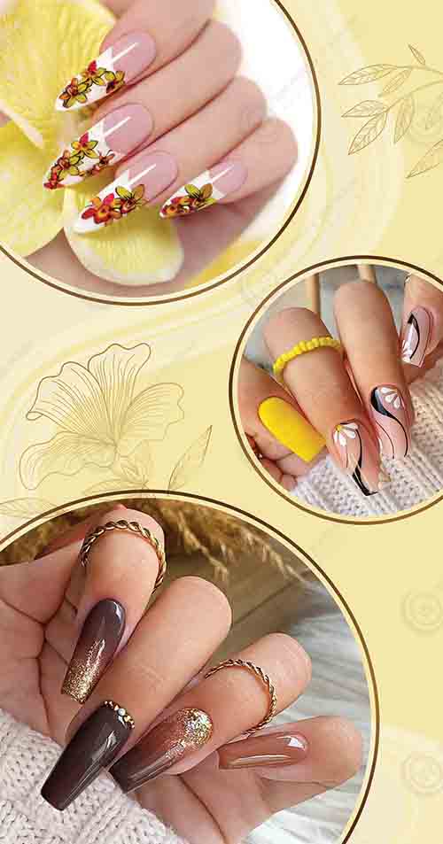 WD-229 - Window Decals