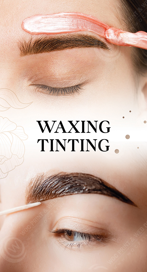 WD-240 - Window Decals