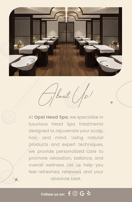 ZFL-03B - Head Spa Flyers