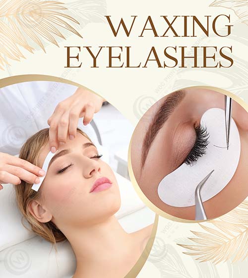 WD-304 - Window Decals